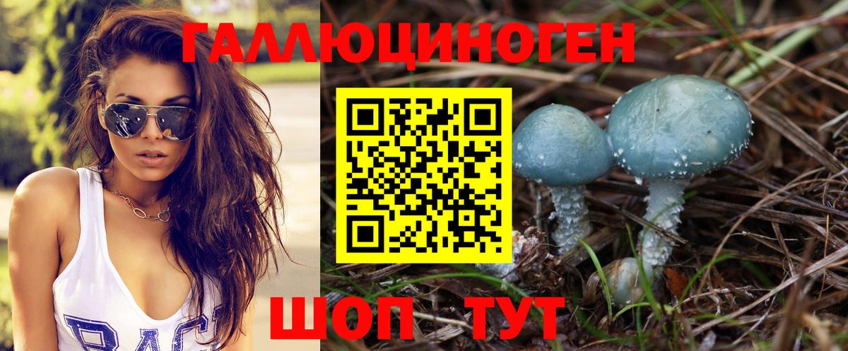 Псилоцибиновые грибы мицелий Благодарный