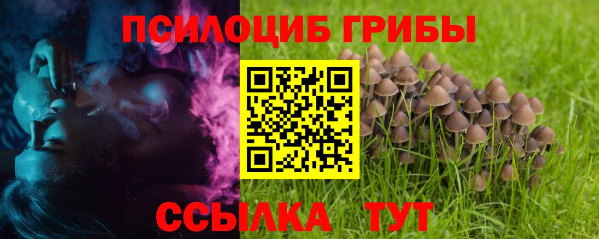 Галлюциногенные грибы Cubensis  Вход с VPN  Благодарный 