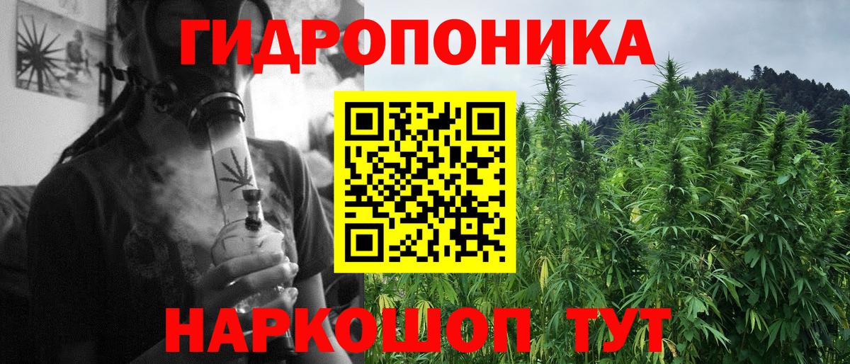 Конопля индика  Шишки марихуана планчик  Канабис SATIVA & INDICA  Вход с VPN  Канабис White Widow  Благодарный 